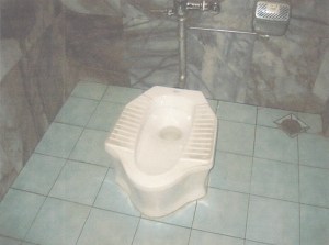 Cambodian Toilet