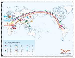 mtDNA_migrationmap
