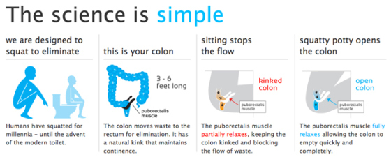 Proper Defecating Form The Proper Way To Poop – What to do? | Paleo-opolis