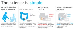 science-of-the-squatty-potty