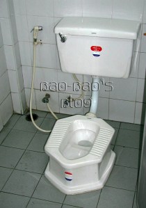 Thailand Hybrid Squat Toilet