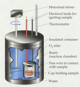 bomb calorimetry