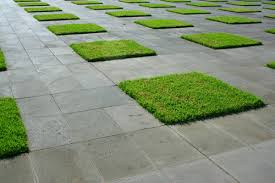 Concrete grass