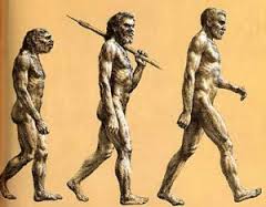 Evolution of Man