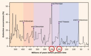 mass-extinction-events