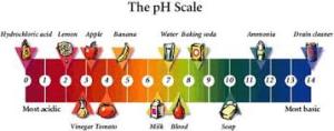 pH Scale