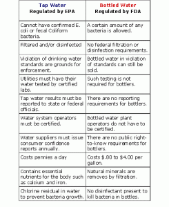 tap vs bottled water