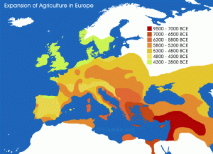 Wheat Farming in Europe