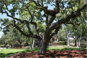 climbing mjjcommunity.com