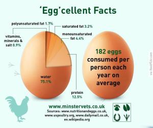 egg-nutrition-facts