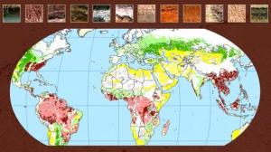 mineral soils around the earth pbs