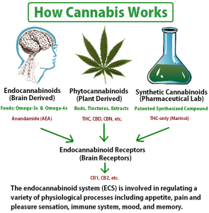 cannabis-works