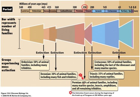 2 Mass Extinction Timeline